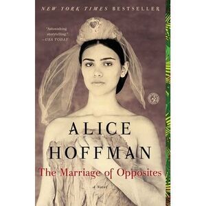 The Marriage of Opposites -- Alice Hoffman